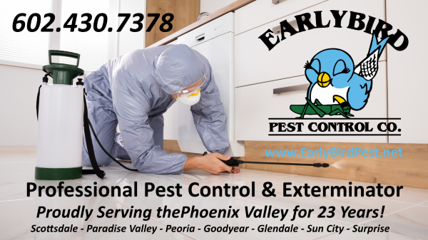 Sprayer1-600 North Scottsdale Paradise Valley Phoenix Goodyear Peoria Surprise AVondale Pest Control Exterminator
