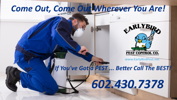 Phoenix, Litchfield Park, North Scottsdale, Paradise Valley, Goodyear, Peoria Arizona Pest Control exterminator