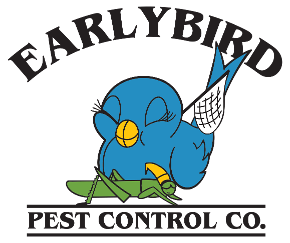 bird control services