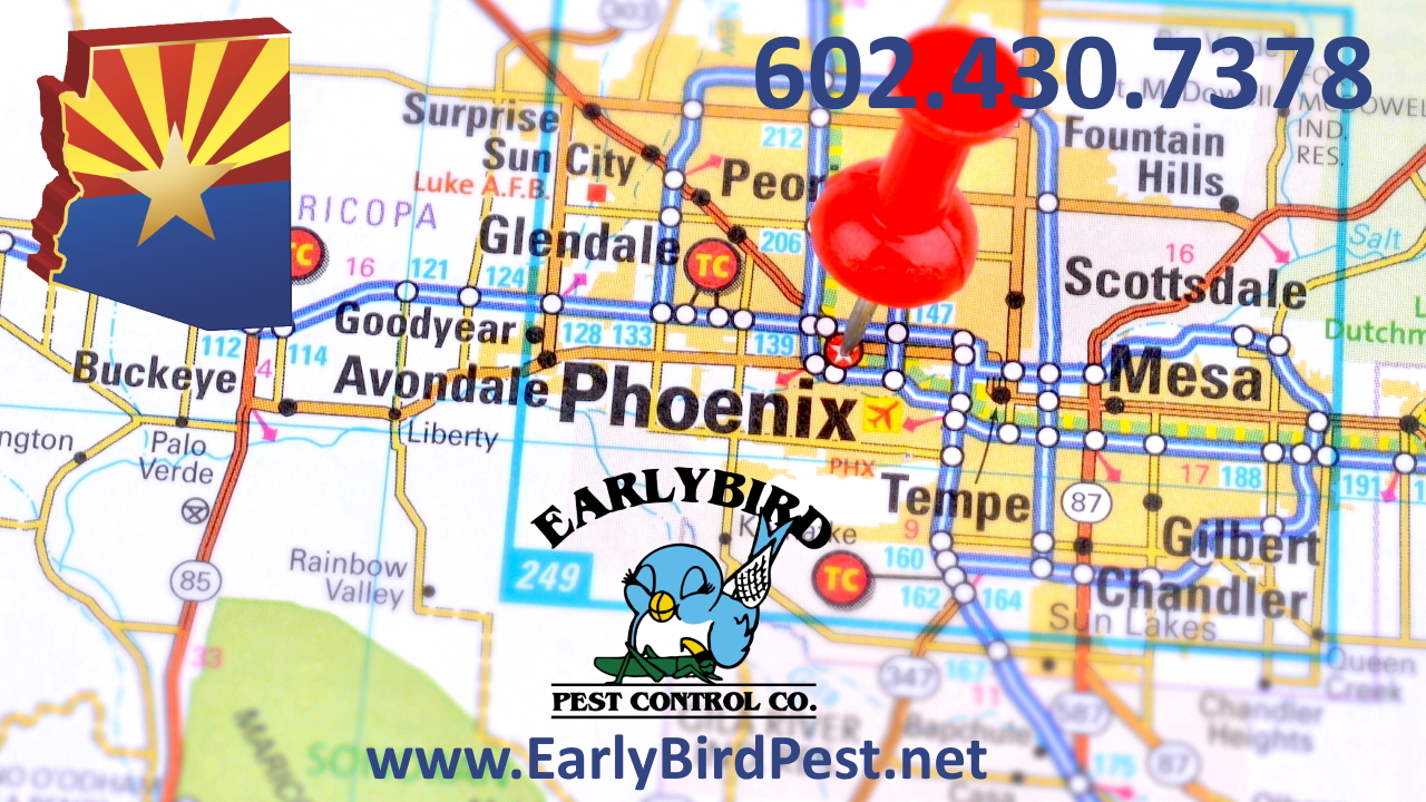 Phoenix Area Map for Early Bird Pest Control Service Areas Phoenix Arizona West Valley Pest Control Exterminator Services Peoria Litchfield Park Goodyear Buckeye Avondale Surprise Sun City Tolleson Glendale Waddell El Mirage
