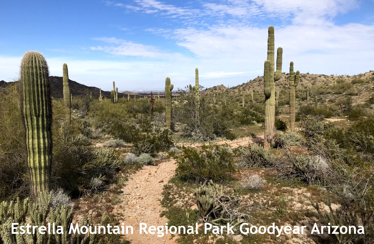 Estrella Mountain Regional Park hiking trails in Goodyear Arizona