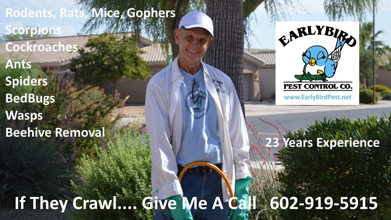 Early_Bird_Pest_Control_Paradise_Valley_Arizona_Pest_Control_Exterminator Paradise Valley Arizona Pest Control Exterminator services in Paradise Valley, AZ
