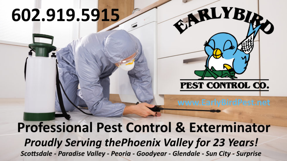 Goodyear Pest Control Exterminator Early Bird Pest Control