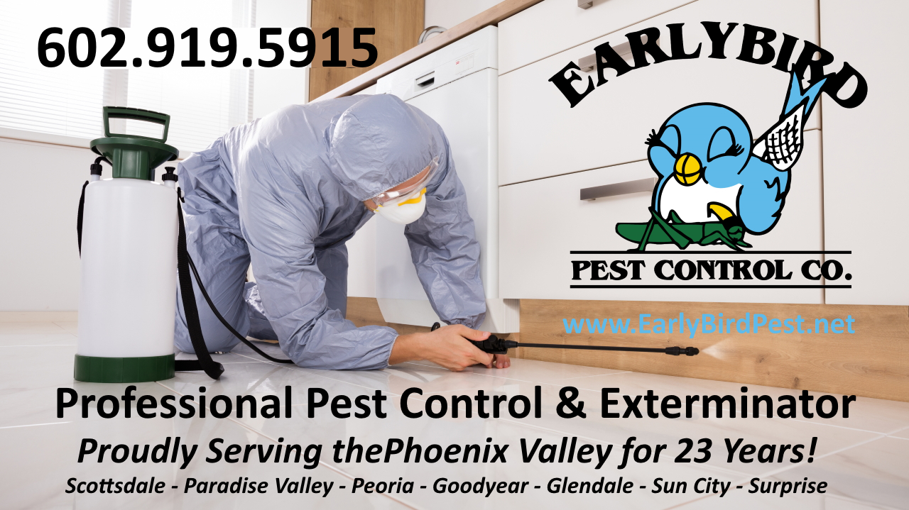 Phoenix West Valley Pest Control exterminator service Estrella  Goodyear Litchfield Park Avondale and Buckeye