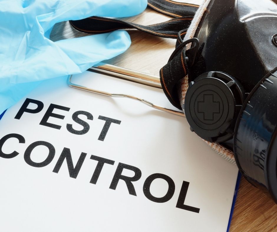 Three Types of Pest Control