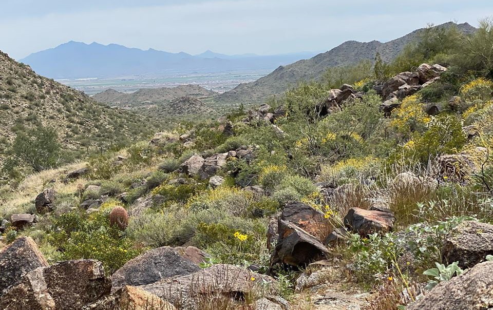 White Tank Regional Park Surprise, Arizona