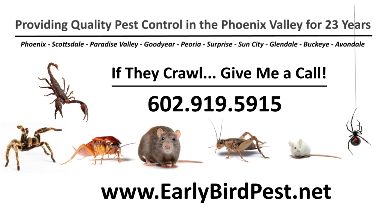 Sun City Arizona Pest Control Exterminator Serving the Phoenix Valley for 24 Years