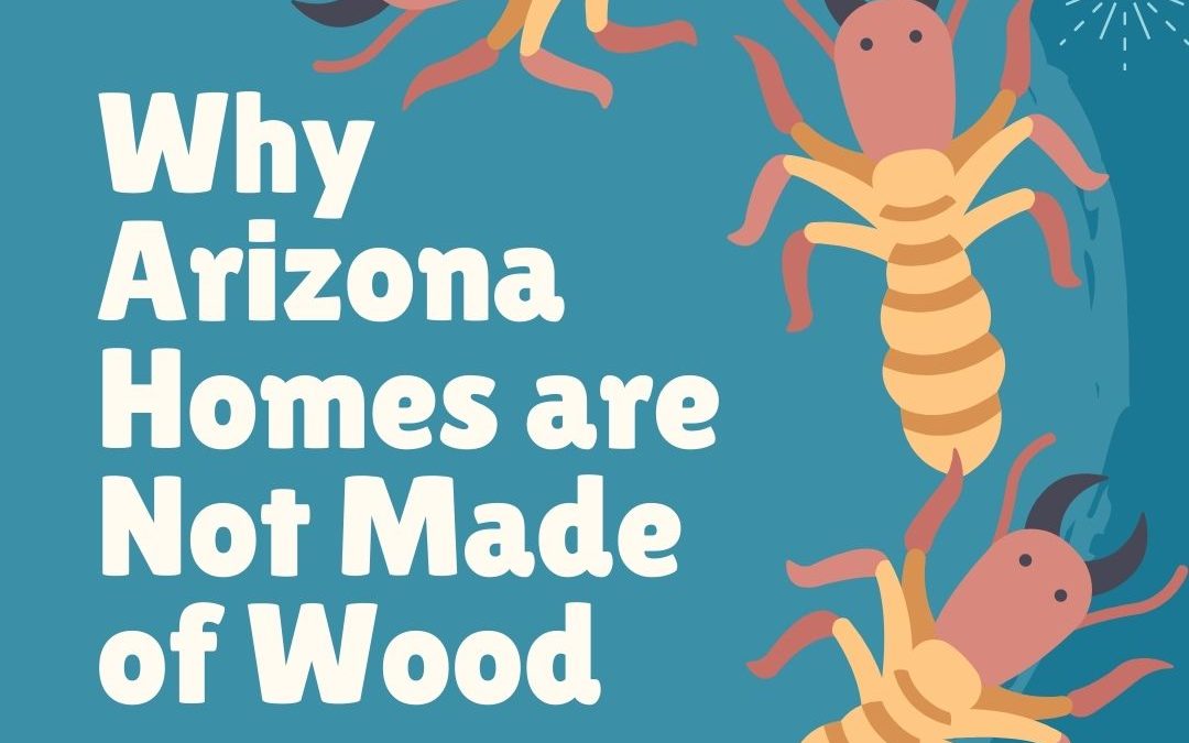 Why Arizona Homes are Not Made of Wood