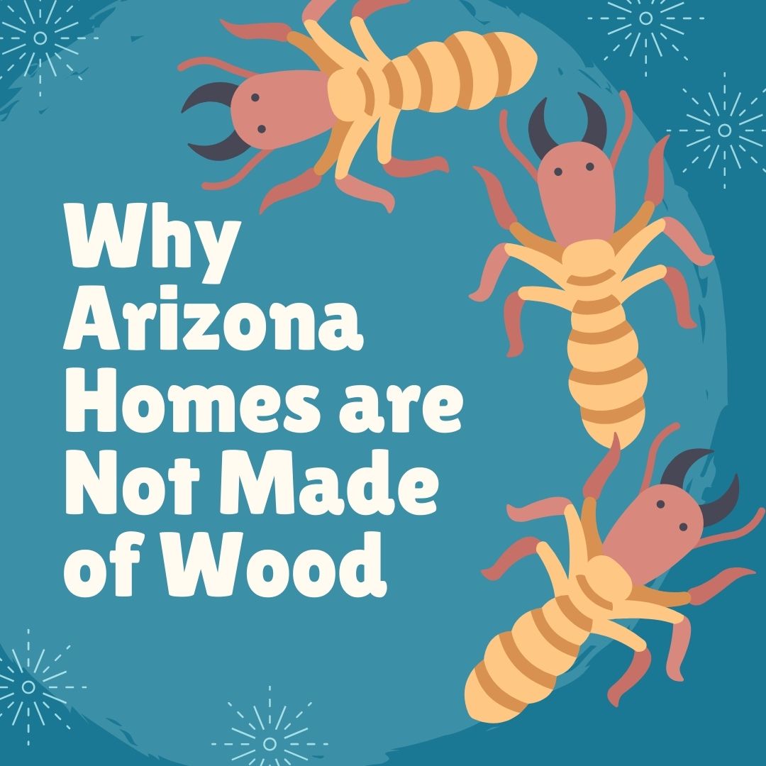 Why Arizona Homes are Not Made of Wood