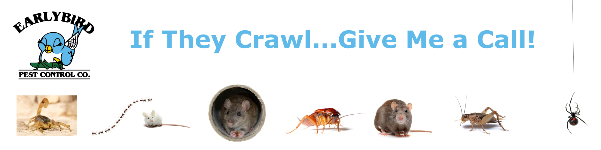 Glendale Pest Control exterminator Glendale AZ Glendale Pest Control exterminator Glendale AZ