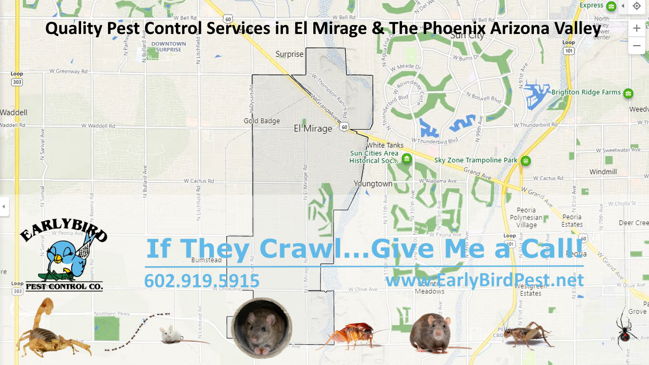 El Mirage pest control exterminator