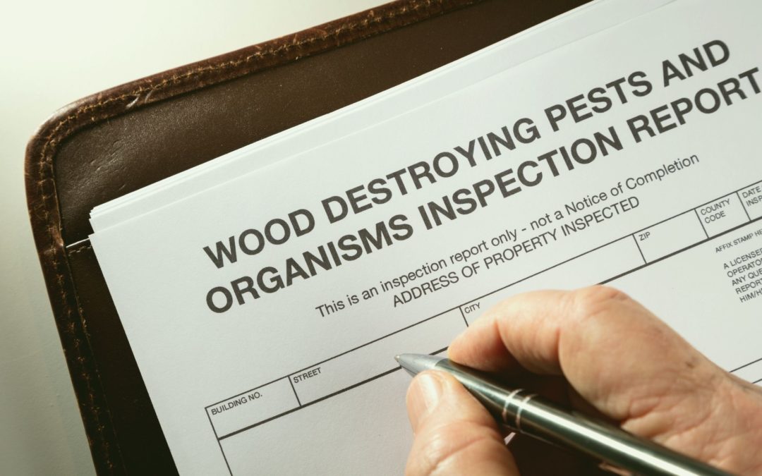 Do I Need a Pest Inspection When Selling a House in Arizona?
