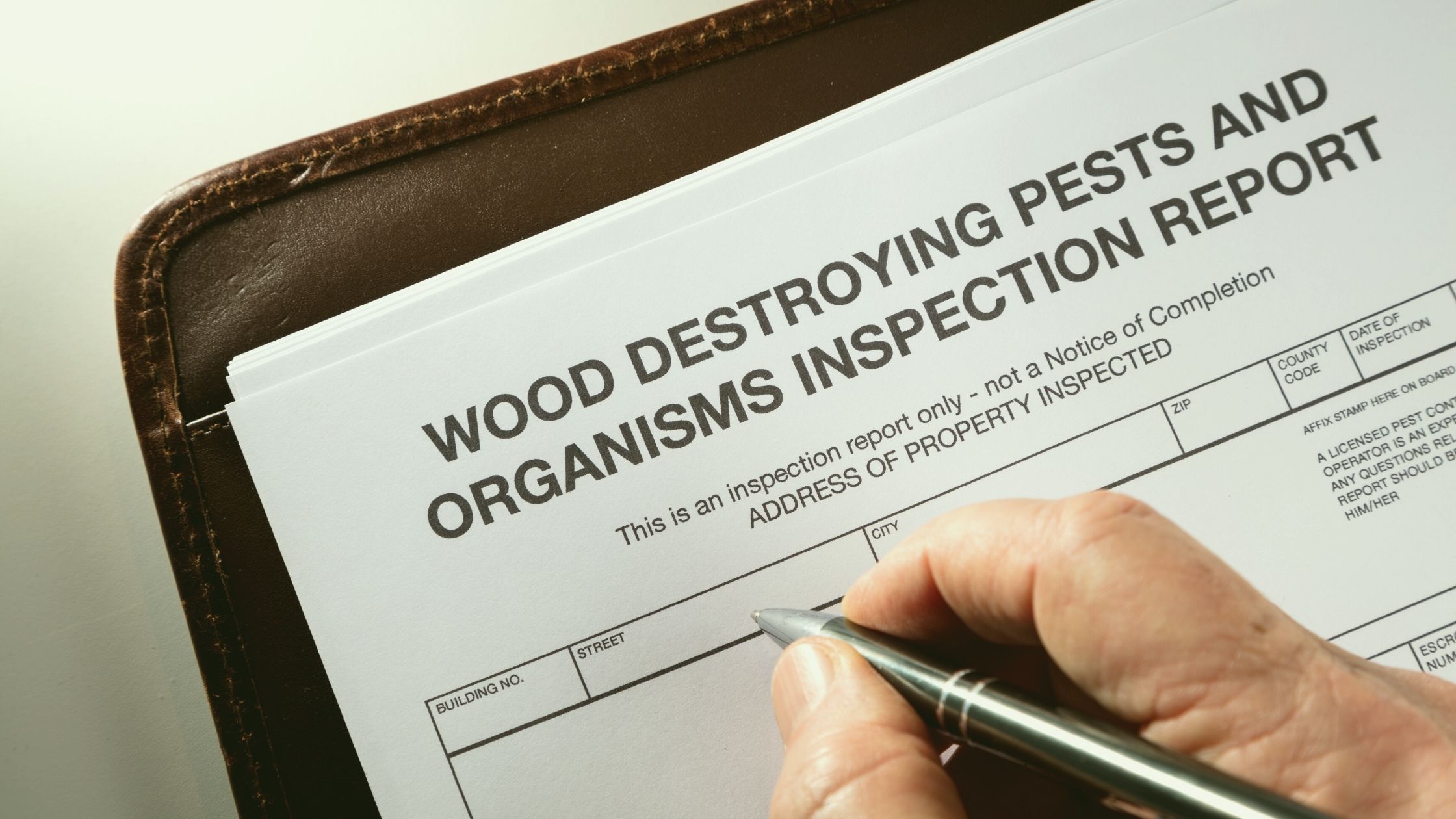 Do I Need a Pest Inspection When Selling a House in Arizona?