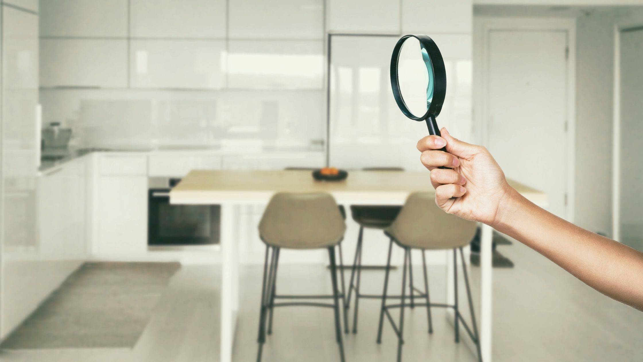 What Do Pest Inspectors Look For?