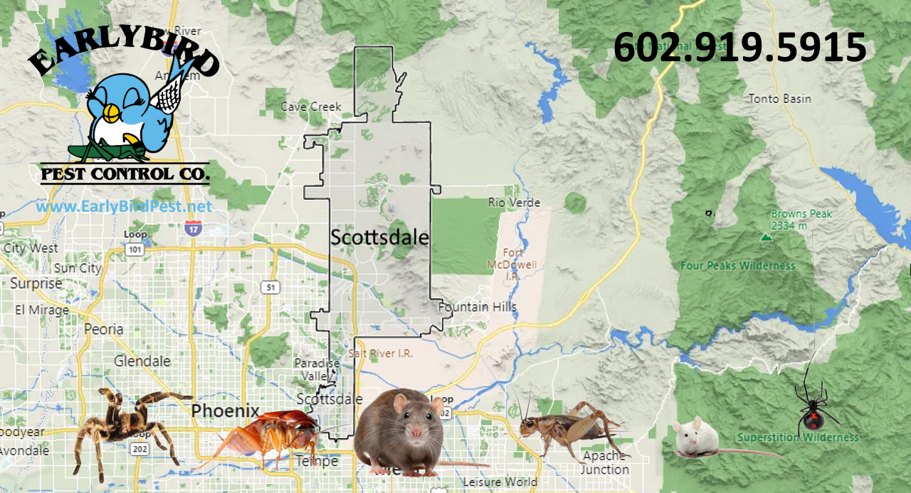 North Scottsdale Arizona Pest Control Services Map of North Scottsdale AZ.