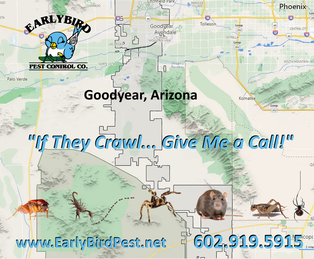 Goodyear Arizona pest control service bug exterminator
