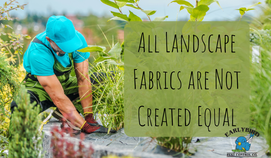 All Landscape Fabrics are Not Created Equal – The Differences and how They Hold up