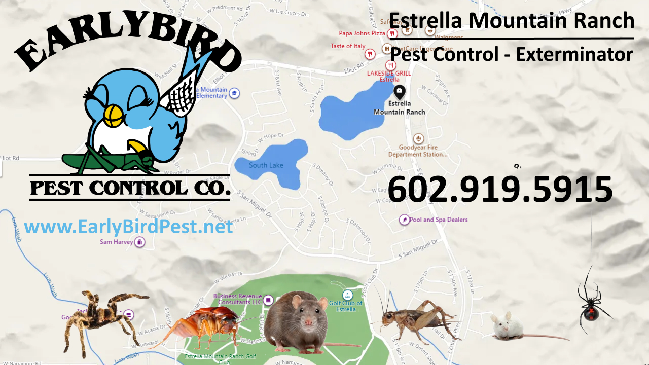 Map of Estrella Mountain Ranch Pest Control Services in Goodyear Arizona