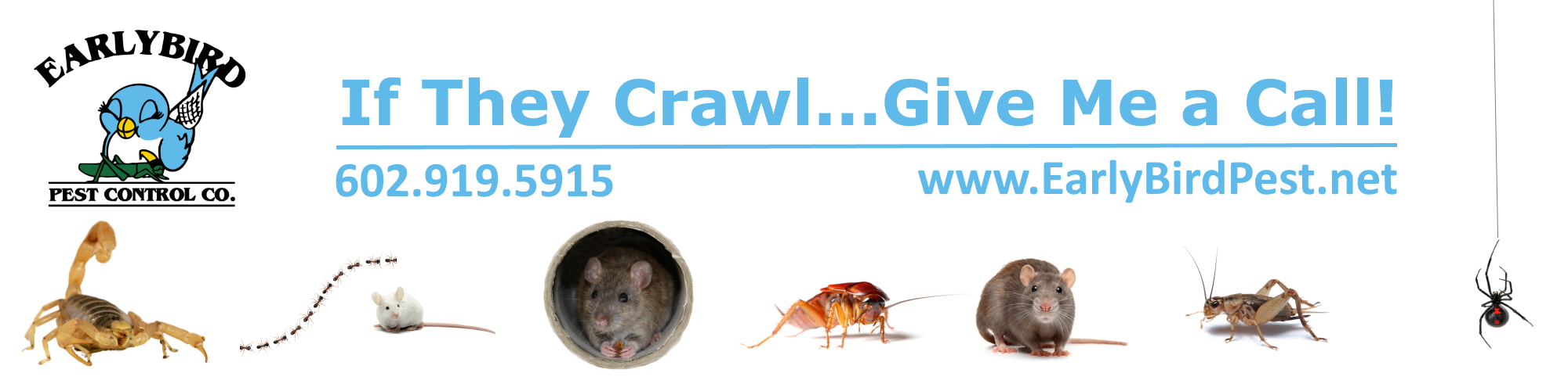 Pest control exterminator in Palm Valley in Goodyear Arizona Pest control exterminator in Palm Valley in Goodyear Arizona