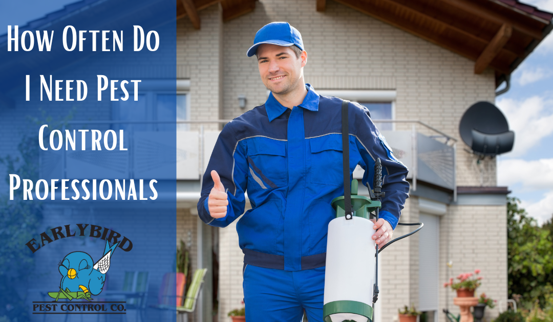 How Often Do I Need Pest Control Professionals