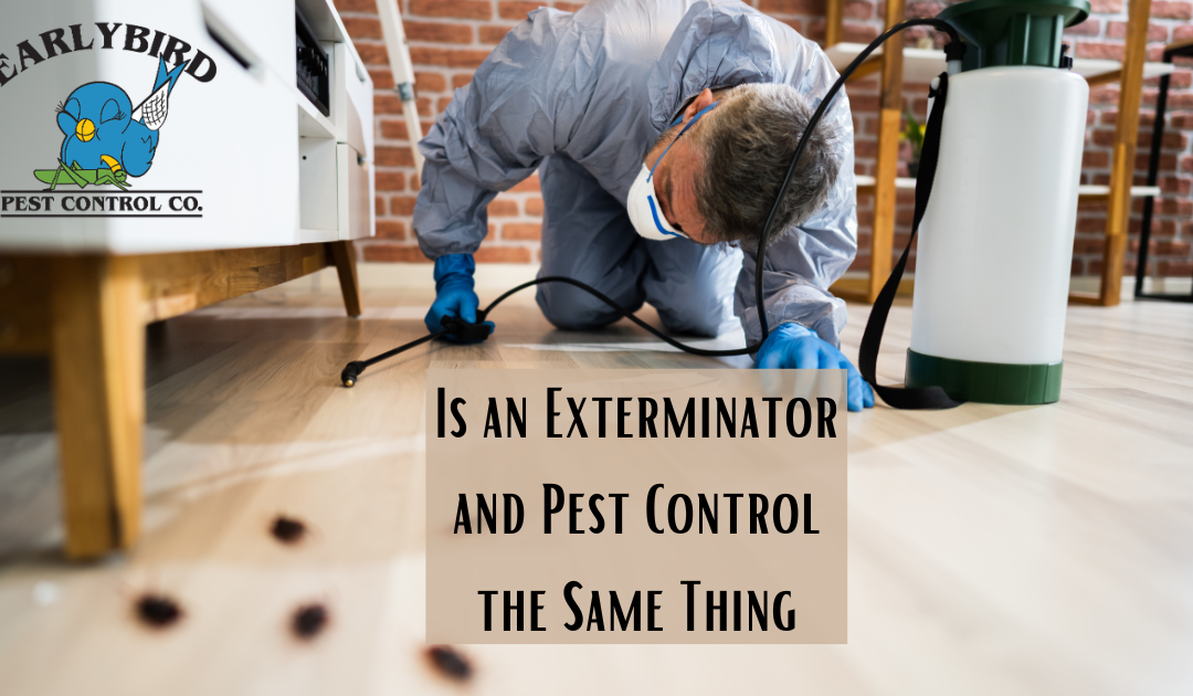 Is an Exterminator and Pest Control the Same Thing