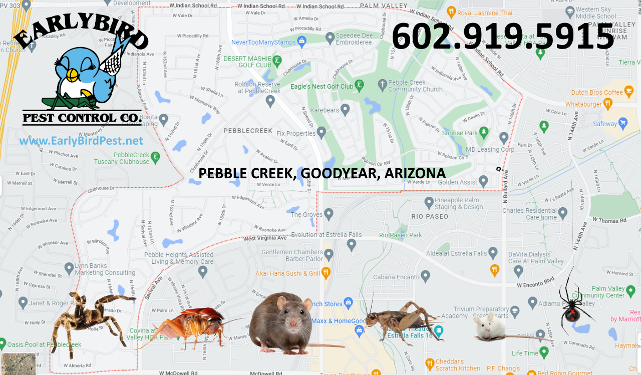 Map of Pebble Creek in Goodyear, Arizona in the Phoenix AZ West Valley