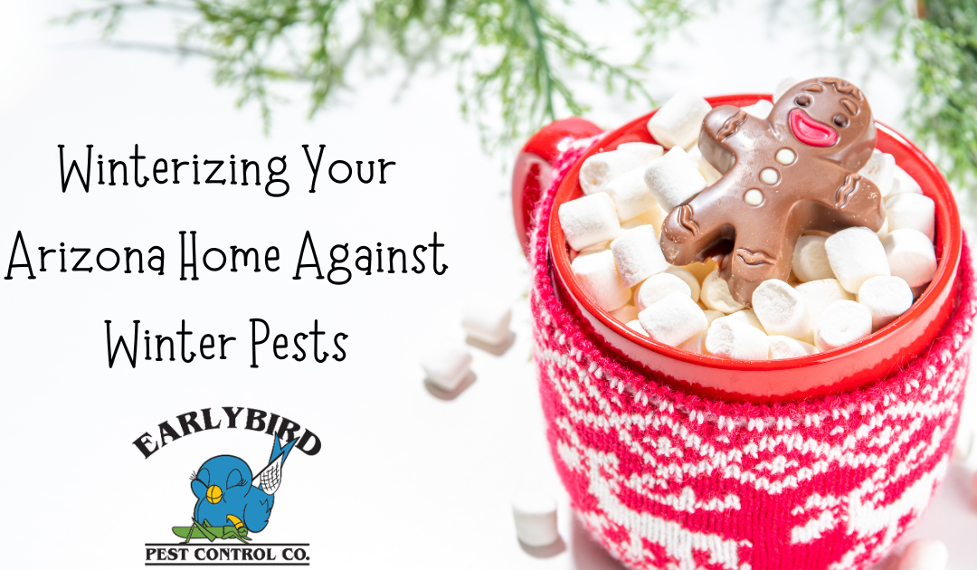 How to Winterize Your Arizona Home Against Winter Pests