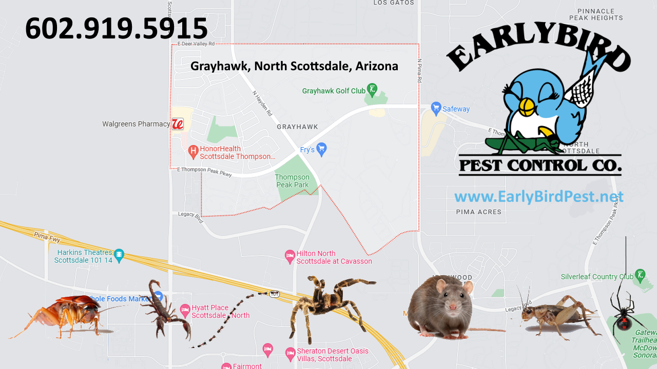 Map of Grayhawk Development in North Scottsdale Arizona