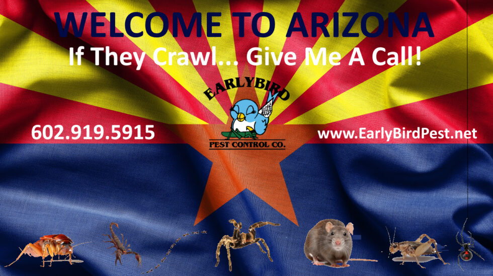 Early Bird Pest Control Phoenix Exterminator Insects Rodent