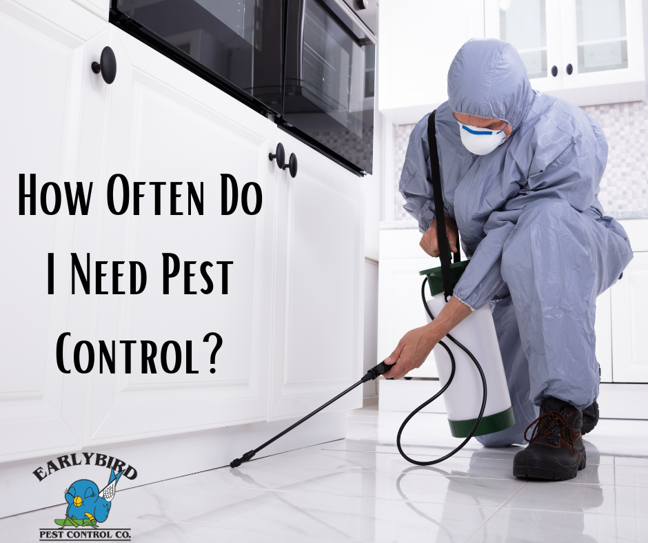 How-Often-Do-I-Need-Pest-Control.png