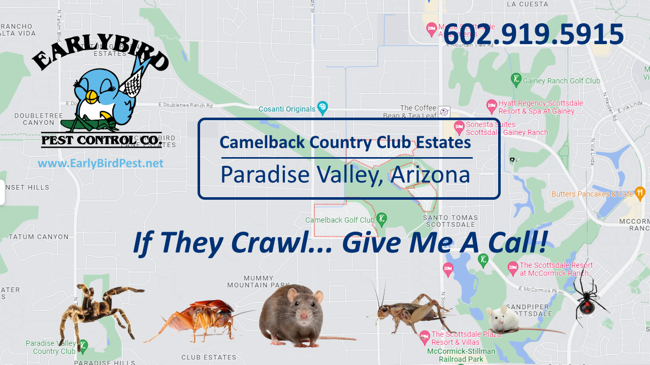 pest control in Camelback Country Club Estates in Paradise Valley