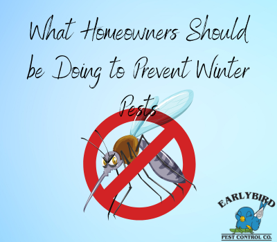 What Homeowners in Arizona Should be Doing in September to Prevent Winter Pests