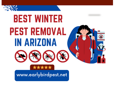 Best Winter Pest Removal in Arizona
