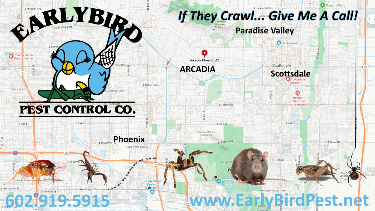 Map of Arcadia Arizona Near Phoenix, Scottsdale and Paradise Valley, AZ.