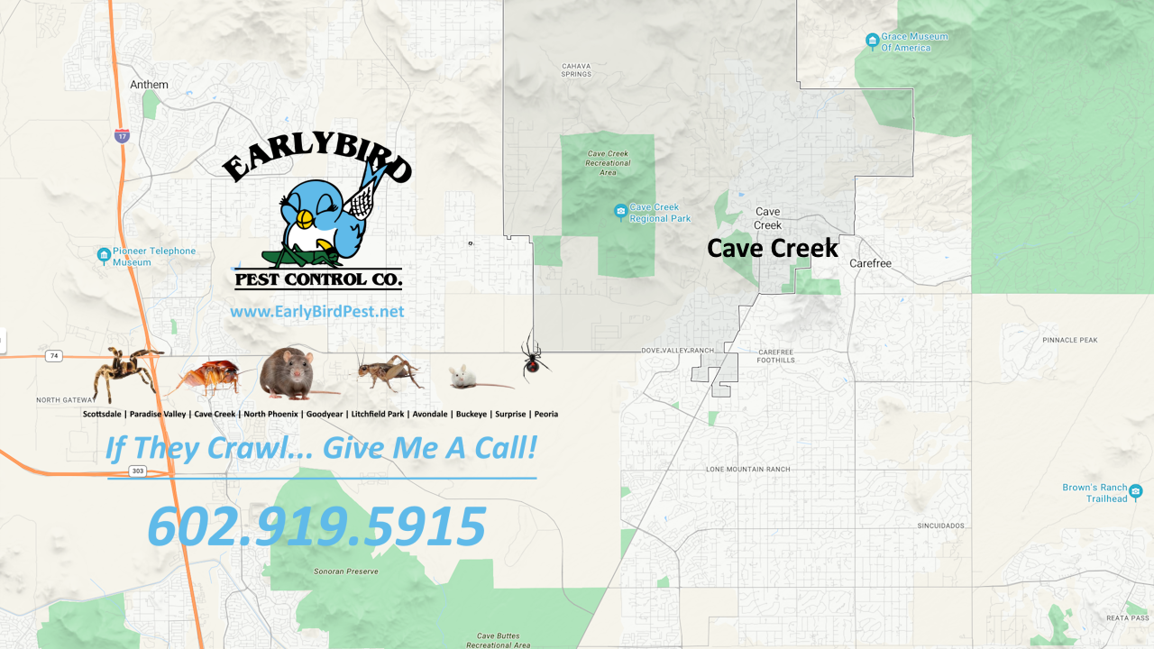 Cave Creek Pest Control Map