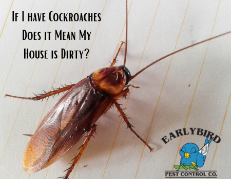 If I have Cockroaches Does it Mean My House is Dirty?