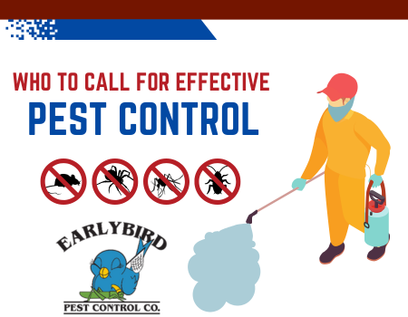 Who to call for effective pest control
