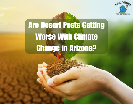 Are Desert Pests Getting Worse With Climate Change in Arizona?