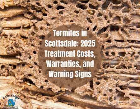Termites in Scottsdale: 2025 Treatment Costs, Warranties, and Warning Signs