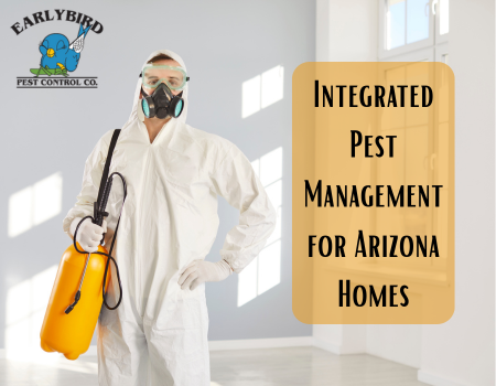 Integrated Pest Management for Arizona Homes