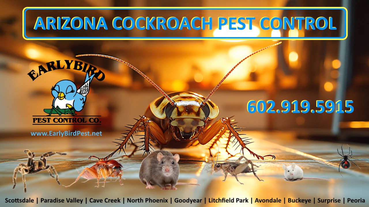Paradise Valley, Arizona Cockroach Pest Control, Cockroach Exterminator Services
