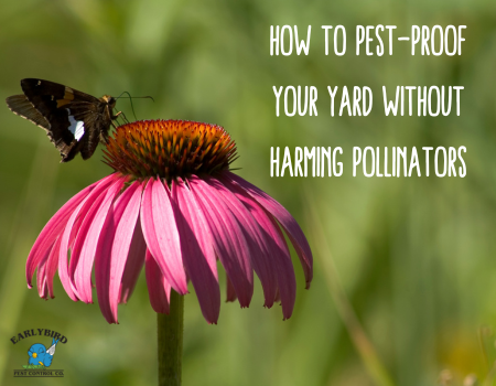 How to Pest-Proof Your Yard Without Harming Pollinators