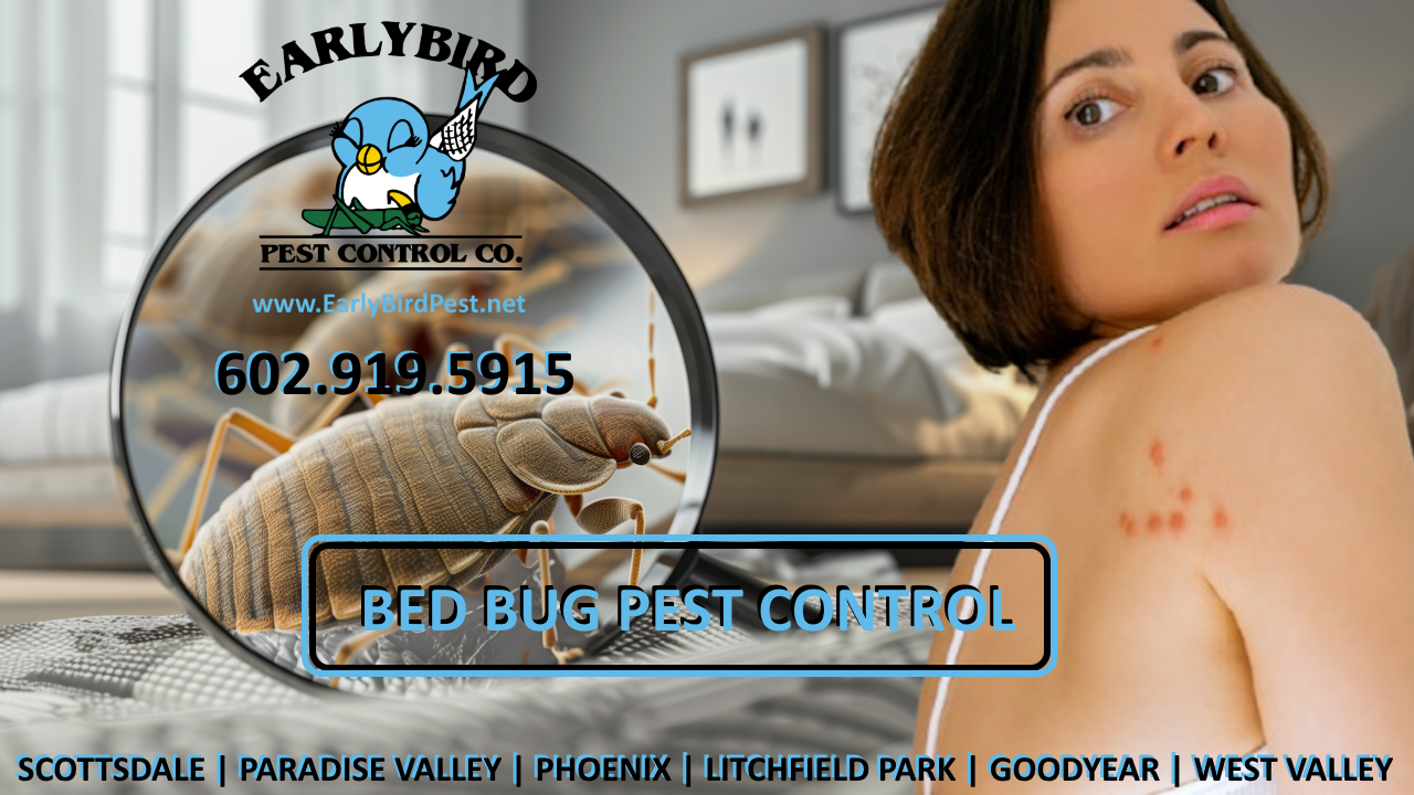 Early_Bird_Pest_Control_Buckeye_Verrado_Bed_Bug_Exterminator_Bedbug_Pest_Control Bedbug pest control and Bed Bug exterminator in Buckeye and Verrado, Arizona