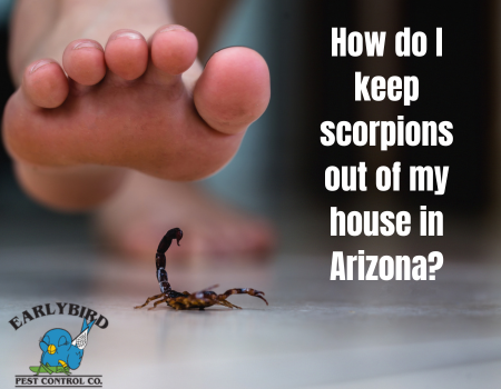 How do I keep scorpions out of my house in Arizona?