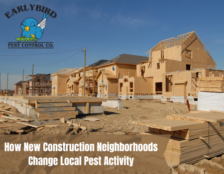 How New Construction Neighborhoods Change Local Pest Activity