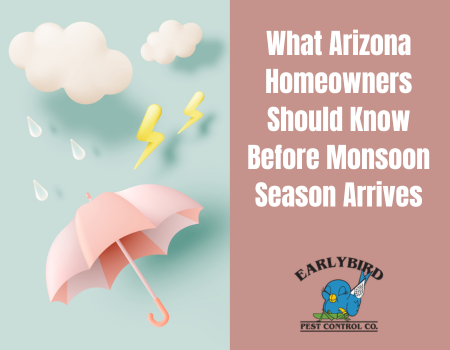 What Arizona Homeowners Should Know Before Monsoon Season Arrives